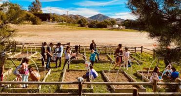 iLEAD Agua Dulce Garden