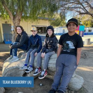 Team Blueberry (A)