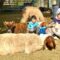 iLEAD Agua Dulce learners with animals