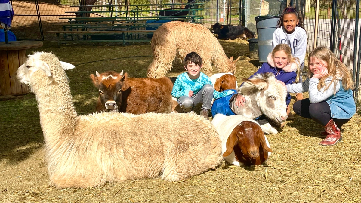 iLEAD Agua Dulce learners with animals