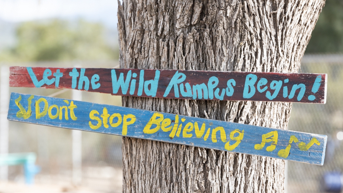 iLEAD Agua Dulce Wild Rumpus