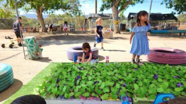 iLEAD Agua Dulce learners playground (2)