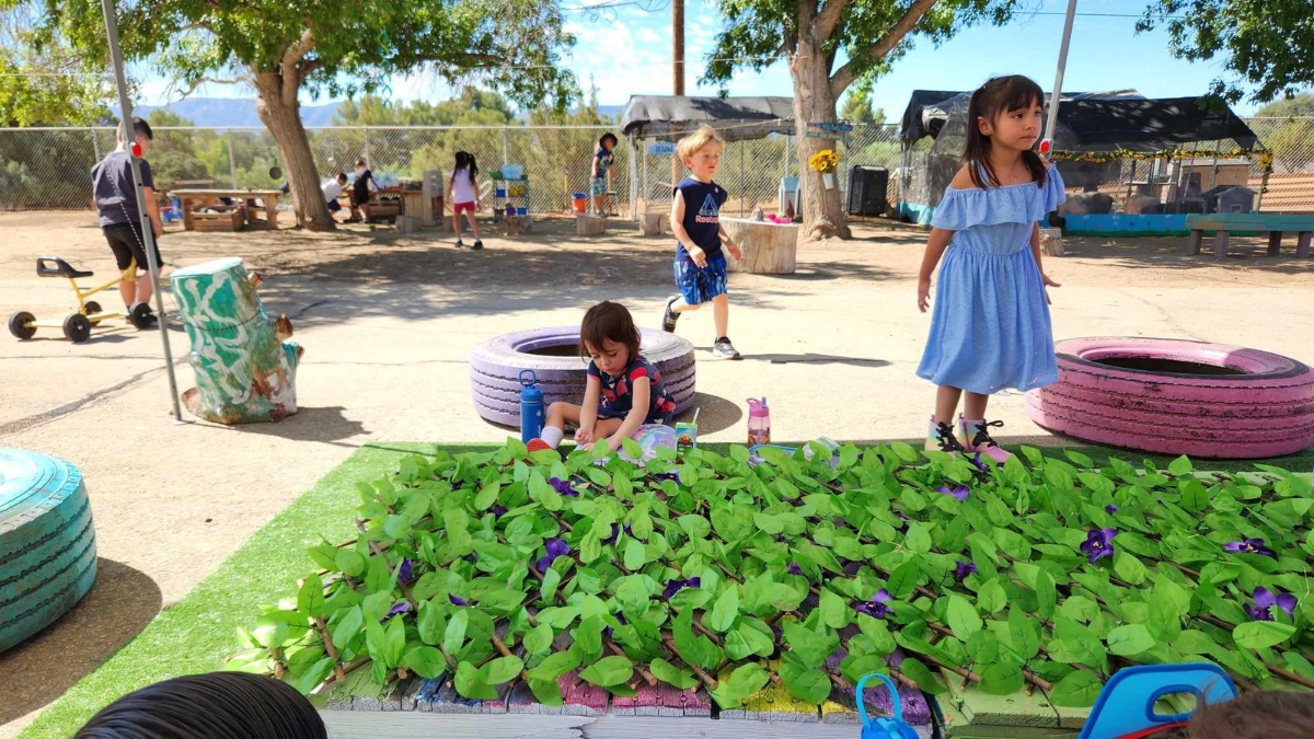 iLEAD Agua Dulce learners playground (2)