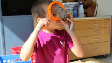 iLEAD Agua Dulce learner outdoor classroom pinecone (2)