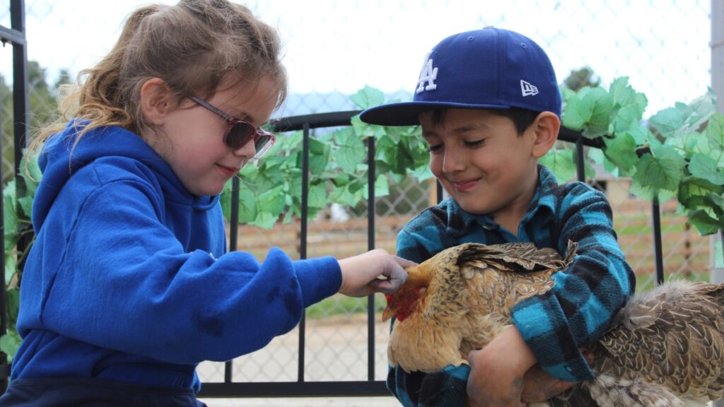 iLEAD Agua Dulce learners chicken (2)