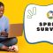 Spring Surveys