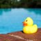 rubber duck pool